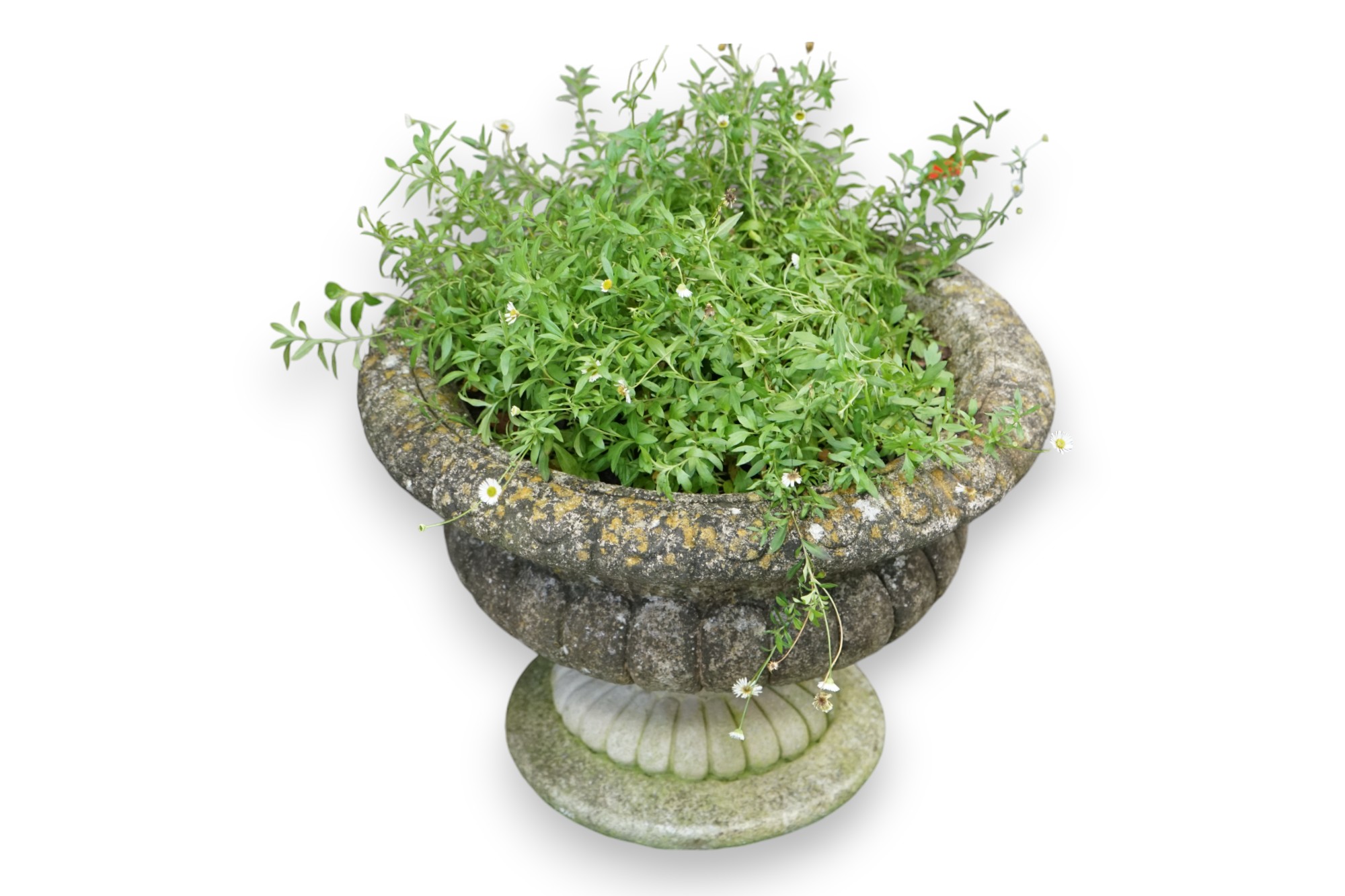 A pair of reconstituted stone circular garden urns